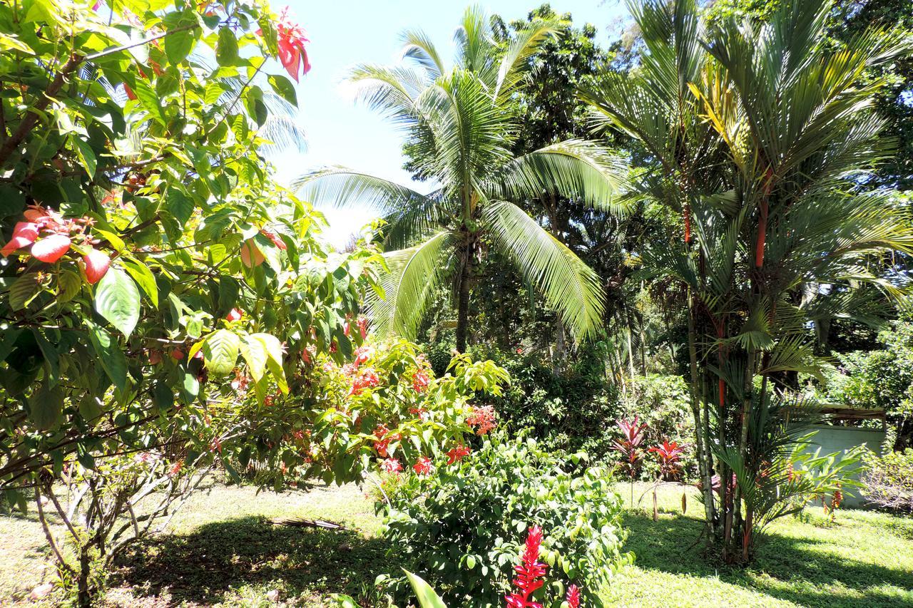 Rosa Lodge Cahuita Exteriér fotografie