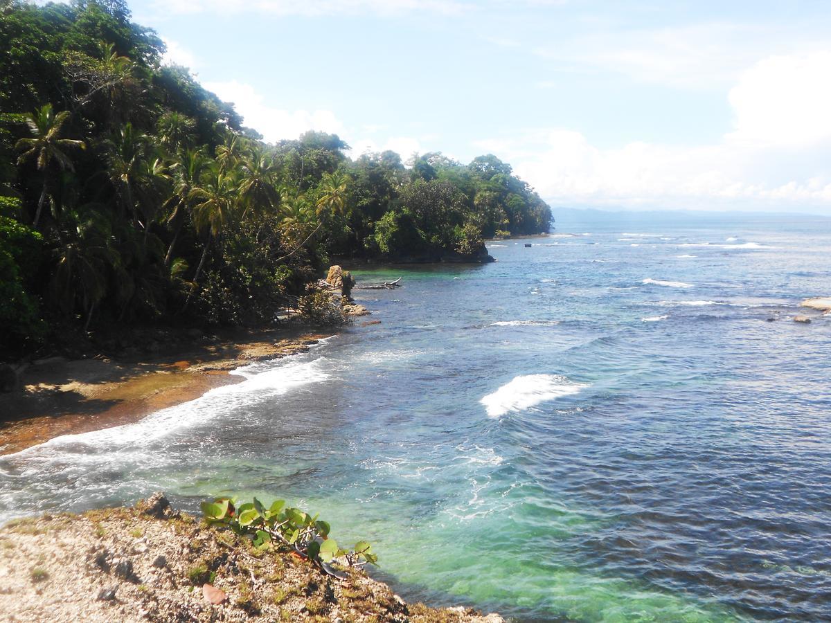 Rosa Lodge Cahuita Exteriér fotografie
