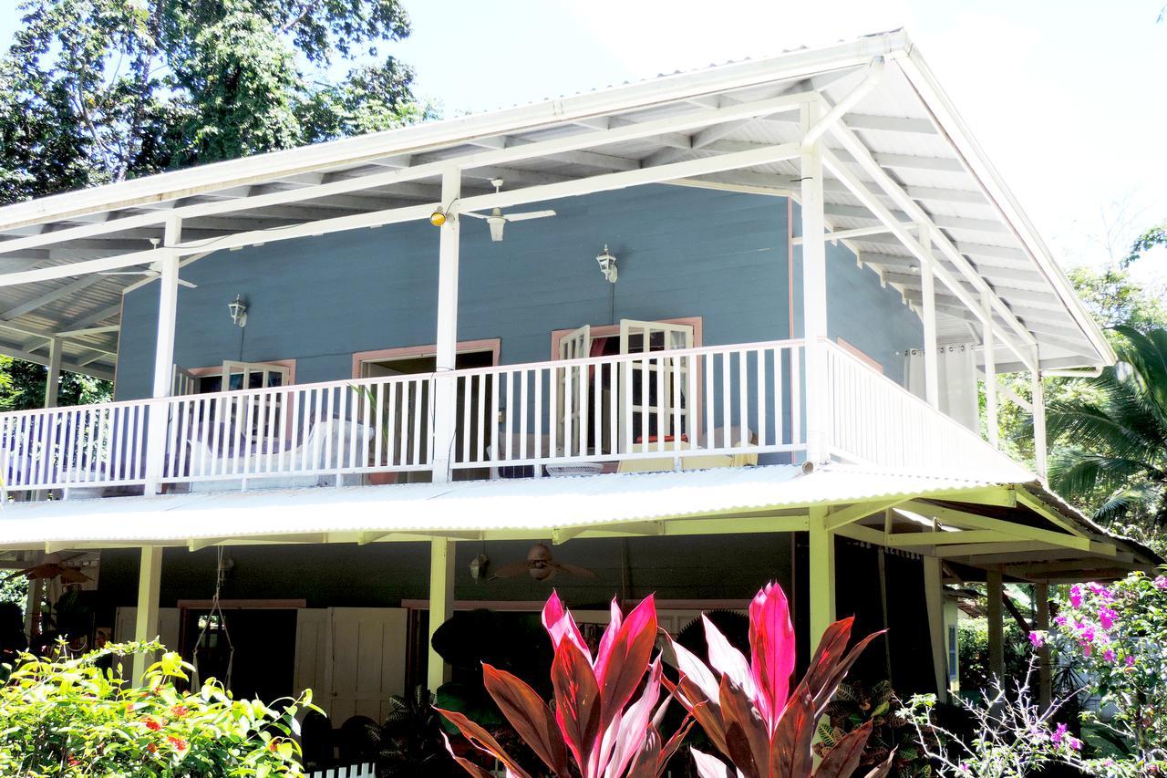 Rosa Lodge Cahuita Exteriér fotografie