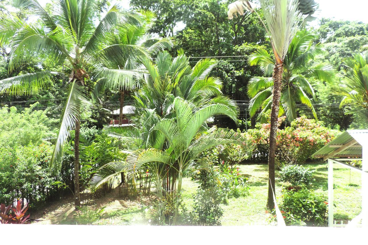 Rosa Lodge Cahuita Exteriér fotografie