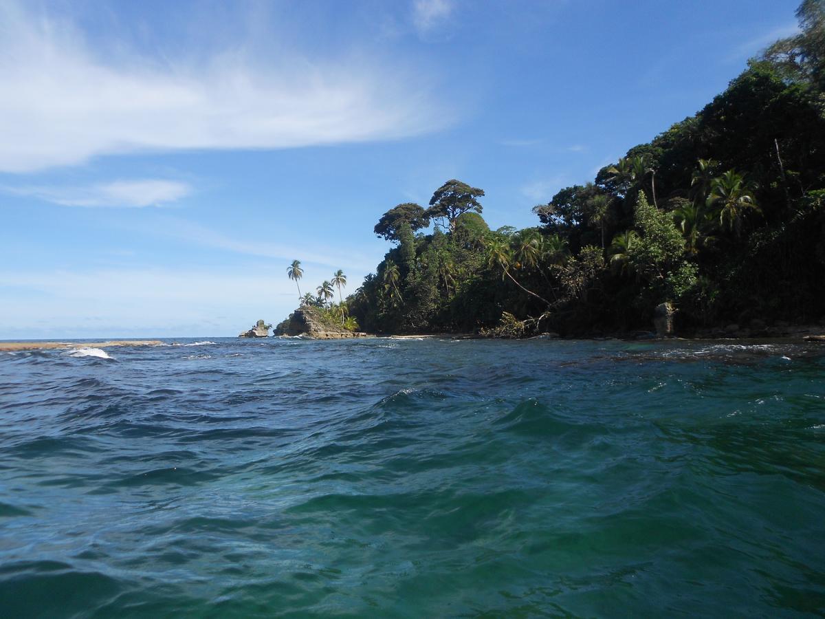 Rosa Lodge Cahuita Exteriér fotografie